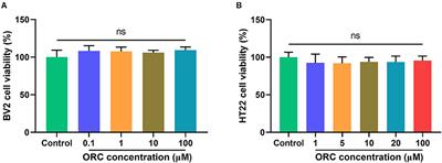 Oxiracetam Offers Neuroprotection by Reducing Amyloid β-Induced Microglial Activation and Inflammation in Alzheimer's Disease